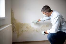 Best Industrial Mold Remediation  in Ogden, IA